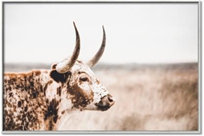 Picture of Annie, the Spotted Cow III