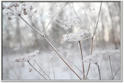 Picture of Branching off