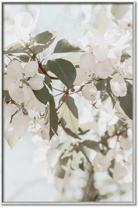 Picture of Leafy Light