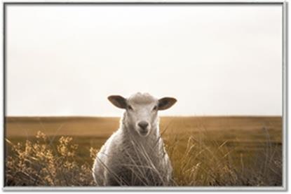 Picture of One and Only