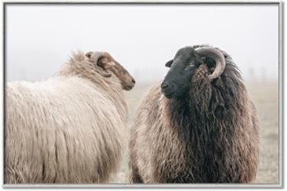 Picture of Good Talk