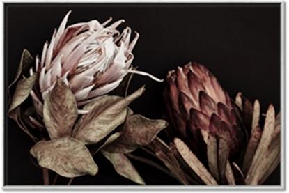 Picture of Beautiful Blooms