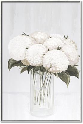 Picture of White Hydrangea I