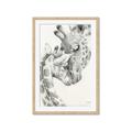 Picture of Mothers Love II _GroupedProduct_Rectangle_Portrait_Framed_Matted_