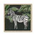 Picture of Zebra In The Jungle _GroupedProduct_Square_Framed_Matted_