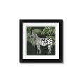 Picture of Zebra In The Jungle _GroupedProduct_Square_Framed_Matted_