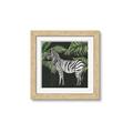 Picture of Zebra In The Jungle _GroupedProduct_Square_Framed_Matted_