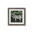 Picture of Zebra In The Jungle _GroupedProduct_Square_Framed_Matted_