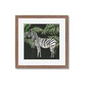 Picture of Zebra In The Jungle _GroupedProduct_Square_Framed_Matted_