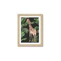 Picture of Giraffe In The Jungle _GroupedProduct_Rectangle_Portrait_Framed_Matted_