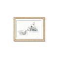 Picture of Cute cat _GroupedProduct_Rectangle_Landscape_Framed_Matted_