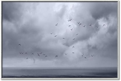 Picture of Flying through a storm
