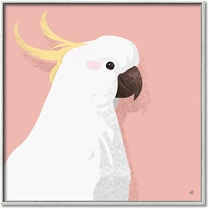 Picture of Cockatoo