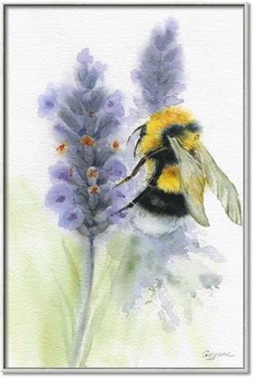 Picture of Bumblebee