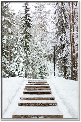 Picture of Winter's Kiss