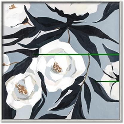 Picture of Hibiscus petals