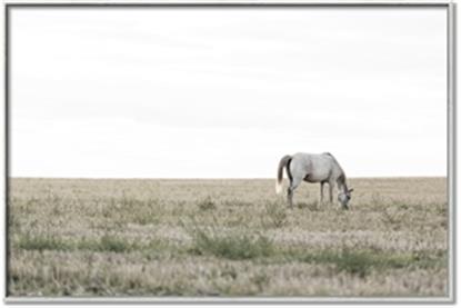 Picture of A cold morning