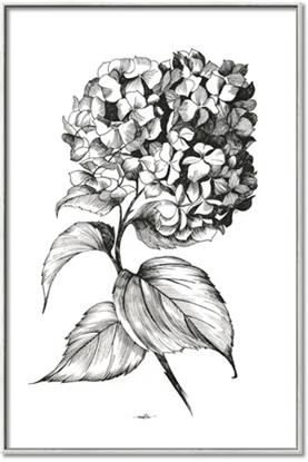 Picture of Flowers and leaves II