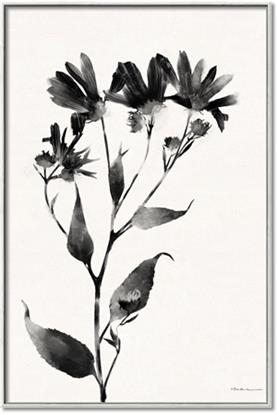 Picture of Black flower II (Ink border black )