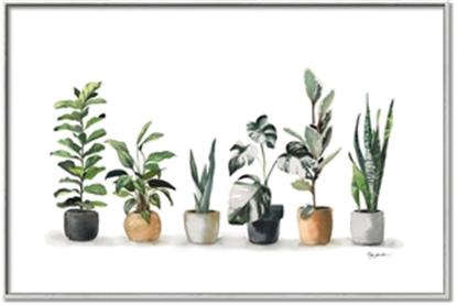 Picture of Pots with plants