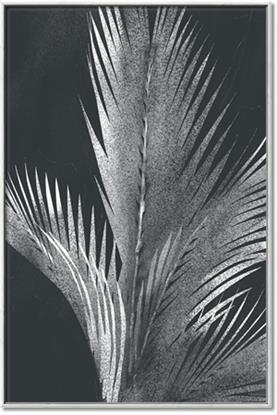 Picture of Pinneedles I