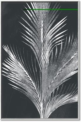 Picture of Pinneedles II
