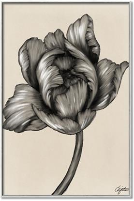 Picture of Spring-blooming II