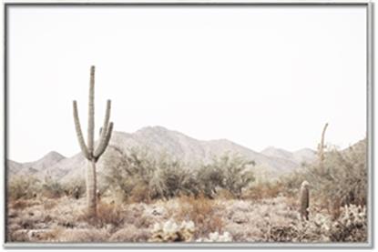 Picture of Photography Terrain