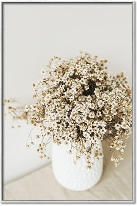 Picture of House necessity