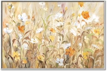 Picture of Fall Flower Fields