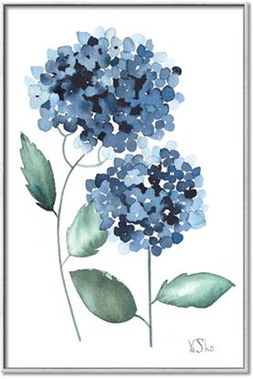 Picture of Blue Hydrangeas I