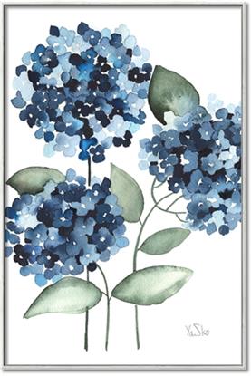 Picture of Blue Hydrangeas II