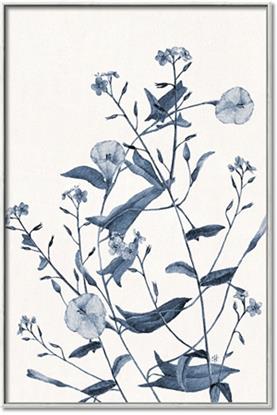 Picture of Blue Flower Sketch I