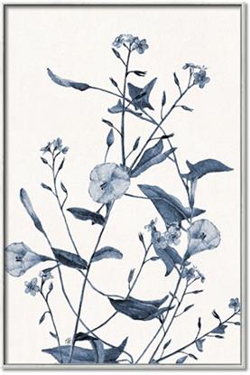 Picture of Blue Flower Sketch II