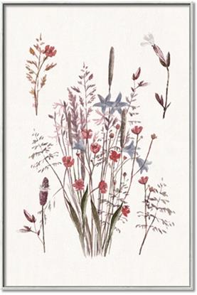 Picture of Wall flowers II