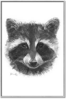 Picture of Raccoon Sketch