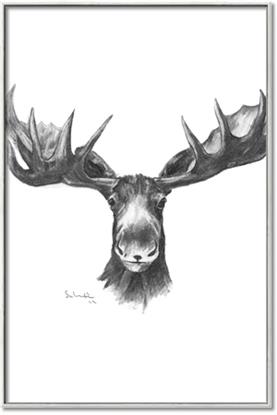 Picture of Moose Sketch