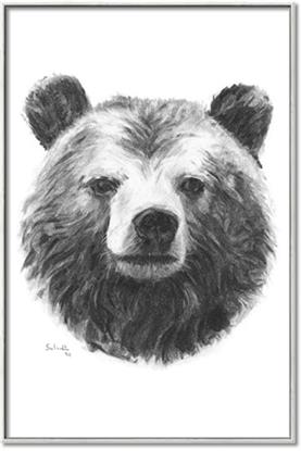 Picture of Bear Sketch