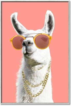 Picture of Llamarama  with glass