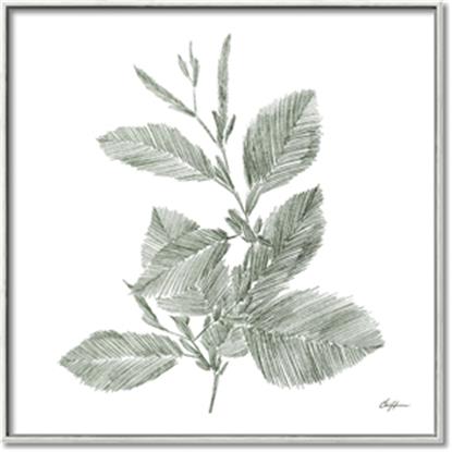 Picture of Leafy Look II