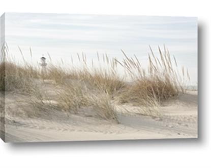 Picture of Seaside Grass