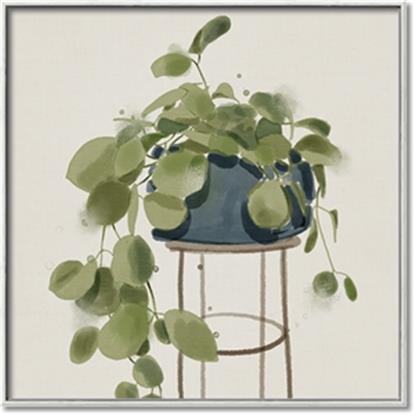 Picture of Plant in Black Pot II