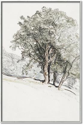 Picture of Trees on a Hill