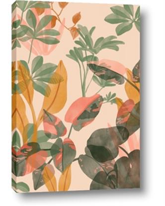 Picture of Harmonious Tropical Hues