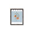Picture of Peach Fruit Fusion _GroupedProduct_Rectangle_Portrait_Canvas_Framed_