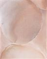Picture of Peach Palette Bubbles _GroupedProduct_Rectangle_Portrait_Unframed_Print_Only_