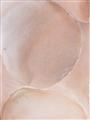 Picture of Peach Palette Bubbles _GroupedProduct_Rectangle_Portrait_Unframed_Print_Only_