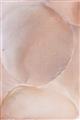 Picture of Peach Palette Bubbles _GroupedProduct_Rectangle_Portrait_Unframed_Print_Only_