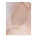 Picture of Peach Palette Bubbles _GroupedProduct_Rectangle_Portrait_Unframed_Print_Only_