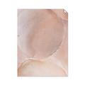 Picture of Peach Palette Bubbles _GroupedProduct_Rectangle_Portrait_Unframed_Print_Only_